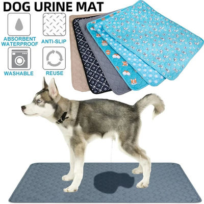 Good price Affordable Pet Cooling Mat - Essential Comfort for Dogs & Cats online