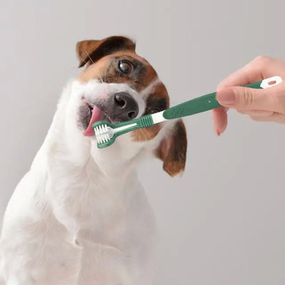 Good price Save Time & Money: Revolutionary 3-in-1 Pet Dental Care Solution online