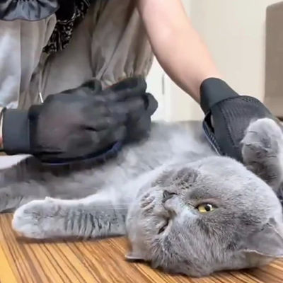 Good price Best-Selling Silicone Pet Grooming Gloves | Essential Pet Care Stock
 online